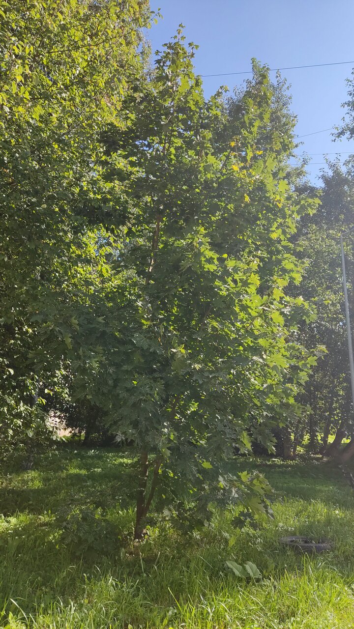 Гостиница Пулково Санкт-Петербург-50